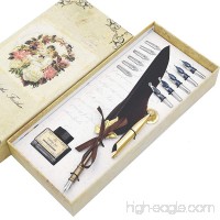 AIVN Caligrapher Pen with Feather Quill Pen  Calligraphy Set with 12 Nibs for Writing and Perfect Gift Pen - B07DG81J9N