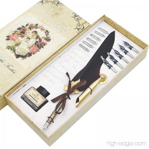 AIVN Caligrapher Pen with Feather Quill Pen Calligraphy Set with 12 Nibs for Writing and Perfect Gift Pen - B07DG81J9N