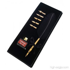 Calligraphy Set - Black (CS-0201) with Real Feather and Stainless Steel Nib - B017BA2FK4