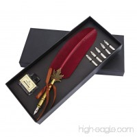 Feather Quill Dip Pen Ink Set -Antique Dip Feather Pen Set Calligraphy Pen Set Writing Quill Ink Dip Pen with 5 Metal nibs (Wine Red) - B077R1FQP2