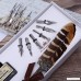 Feather Quill Pen Set Dip Pen with Ink Vintage Feather Calligraphy Ink Pen Quill Fountain Pen in Gift Box with 6 PCS Nibs Birthday Wedding Christmas Gift Set - B07DNJ5V1H