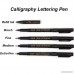 Refill Calligraphy Brush Pens for Lettering - 4 Size Black Ink Pen Set for Beginners Writing Signature Illustration Design and Drawing (1 Refill Ink Include) - B07D7MJKV3