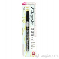 Sakura Pentouch Calligraphy Pen  1.8mm Fine Point  Silver (XPSK-C-53) - B0013DPTK4