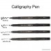 Dainayw 4 Piece Brush Pens Calligraphy Pen Refill Black Ink Marker Pen for Beginners Writing Signature Illustration Design Drawing - B07DJ98L68