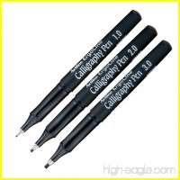 Artline Ergoline Calligraphy Fountain Pen with 1.0 2.0 & 3.0mm nibs - Black Ink - B015EQHECG