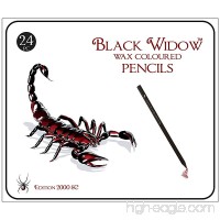Black Widow Coloured Pencils for Adults the Best Colour Pencil Set for Adult Colouring Books A Quality 24 Piece Blackwood Drawing Kit Available to Use - B071ZHDBL1