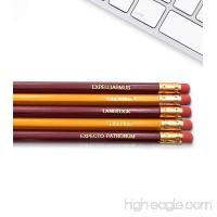 Harry Potter Spells and Charms  Hogwarts Inspirational Pencils - B013L3E0BM