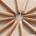 Sprout plantable color pencils with seeds |Box of 8| in natural sustainable wood | perfect for color books and as a highlighter - B078WS8SXK