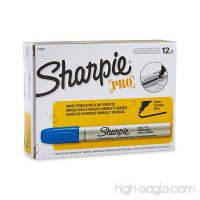 Sharpie 1794271 Pro Bullet Tip Industrial Strength Permanent Marker  Blue  12-Pack - B006CUCFC8