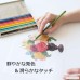 12 Color Pencil Cans Tonboenpitsu - B0016GHXM0