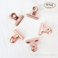 Small Bulldog Paper Clips  Coideal 30 Pack 1 Inch Metal Binder Clips File Paper Money Clamps for Tags Bags  Shops  Office and Home Kitchen (Rose Gold  22mm) - B07BFPNLTZ