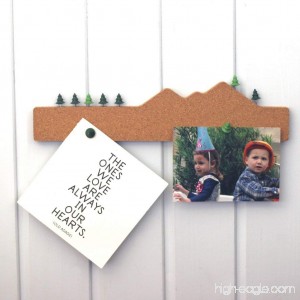 Decorative Cork Bulletin Board and Push Pins Combo Office or Home Décor Memo Mountain By Monkey Business - B004BKZV5O