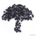 JoyFamily Map Tacks Push Pins 1/ 5 Inch Round Plastic Head with Stainless Steel Point 300 pieces (Black) - B01N1M48Y7