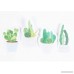 RIANCY Nature Creative Cactus Cute Sticky Notes Self-Stick Office Memo Note Pad Things to Do List Notepad Schedule Marker 30 Sheets/Pad (Cactus) - B07C9893HP