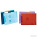 1InTheOffice Translucent Poly File Folders Assorted 12/Pack - B01N5F0P8N