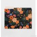 Lively Floral Letter Sized File Folders by Rifle Paper Co. -- 3 Styles - B01N9EVVLR