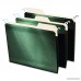 Find It Tab View Hanging File Folders Letter Size 8.5 x 11 Inches Standard Green Pack of 25 (FT07081) - B078WT11LH