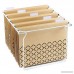 YOMA Hanging File Folders Reinforced 1/5-Cut Tab Letter Size 25 Pack Brown - B01LY7OZAP