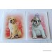 Mead Purrs & Grrs Pastel Doodles Portfolio Folders - Set of 4 - B073SYNJJ2